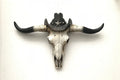 Carved Bull Horn Bison Head Steer Skull Sculpture Strength Power& Masculinity
