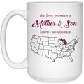 Michigan Connecticut The Love Between Mother And Son Mug - Mug Teezalo