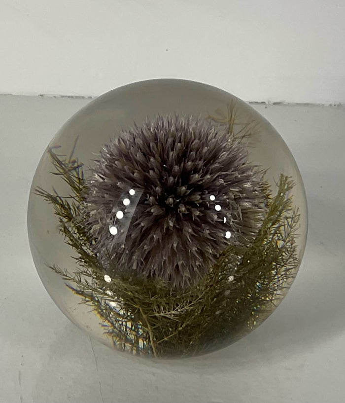 Paperweight