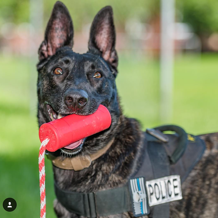 USA-K9 Firecracker Floating Training Dummy | K9 Handler Reward Toy | Red | USA Made