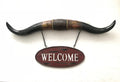 Western Steer Long Horn Bull Toro  Welcome Wall Mount Sign Sculpture Statue Sale